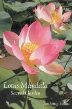 lotus mandala